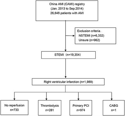 Short- and Long-Term Outcomes in Patients With Right Ventricular Infarction According to Modalities of Reperfusion Strategies in China: Data From China Acute Myocardial Infarction Registry